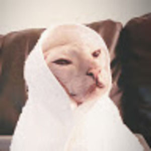 Meet your Posher, Nina